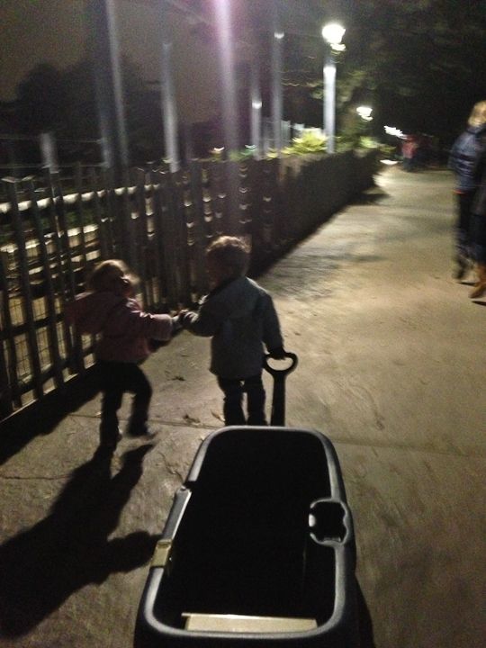  photo ZooLights-5_zps6c2918fc.jpg