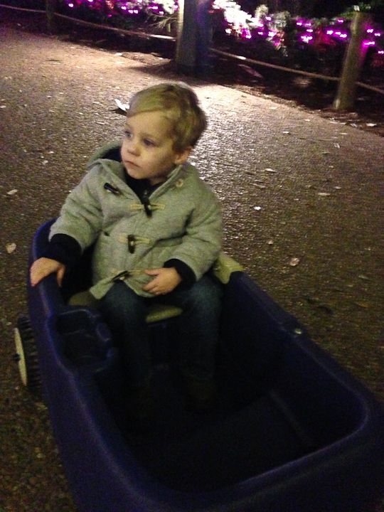  photo ZooLights-7_zps99d45659.jpg