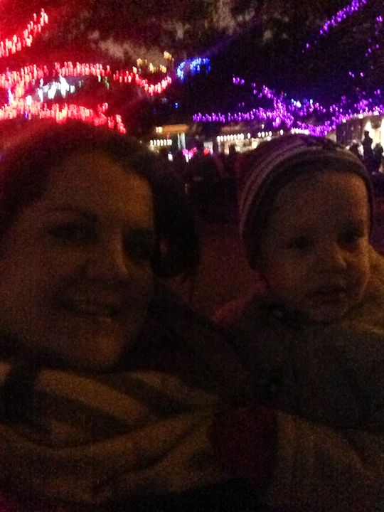  photo ZooLights_zps70b2cca8.jpg