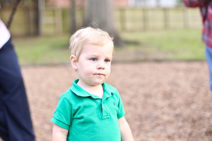 IMG_0246 photo IMG_0246_zps8f99f685.jpg