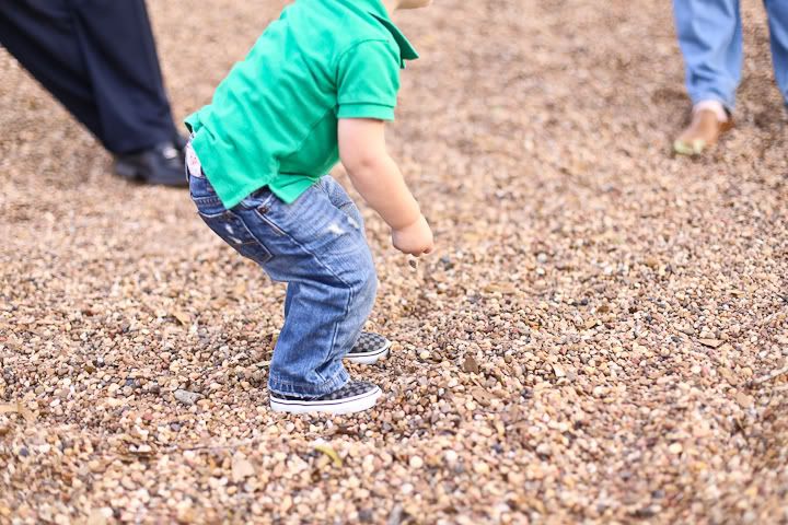 IMG_0247 photo IMG_0247_zps0d9127e7.jpg