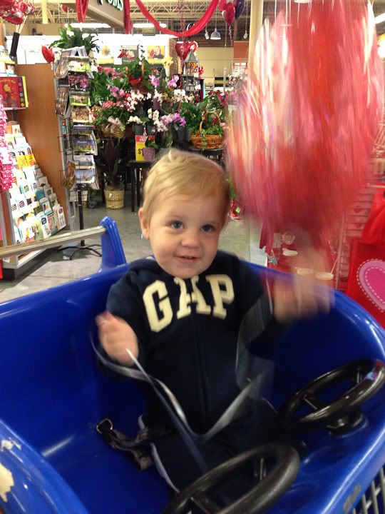 IMG_4424 photo IMG_4424_zps2b6345cb.jpg