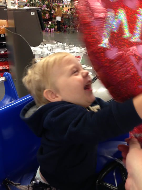 IMG_4431 photo IMG_4431_zpsd9f5b051.jpg