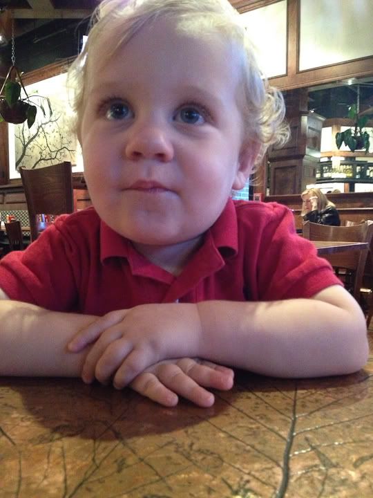 IMG_4474-2 photo IMG_4474-2_zpsc6edfcb1.jpg