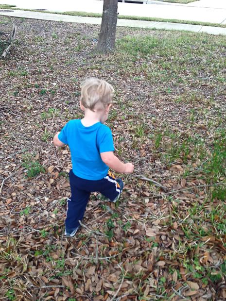 IMG_4478-2 photo IMG_4478-2_zpsfe3171fa.jpg