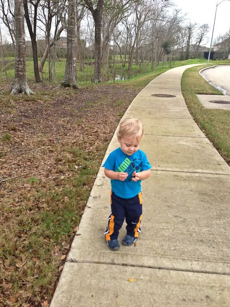 IMG_4479-2 photo IMG_4479-2_zpsd408dc5a.jpg