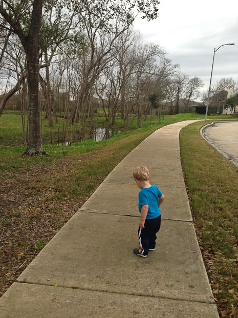 IMG_4480-2 photo IMG_4480-2_zps82349a51.jpg