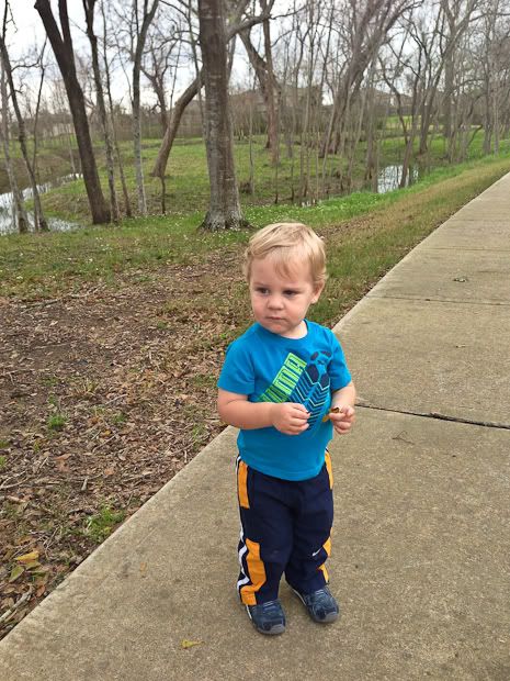 IMG_4483-2 photo IMG_4483-2_zps731c6231.jpg