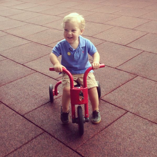 IMG_4420 photo IMG_4420_zpsfc76cd66.jpg