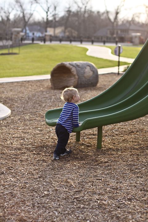 IMG_5451 photo IMG_5451_zpsf55ba1ee.jpg