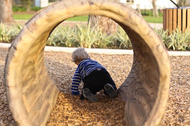 IMG_5466 photo IMG_5466_zps334014ca.jpg