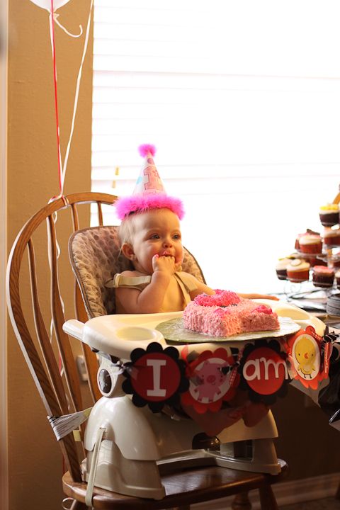  photo LivisFirstBday-11_zps2b2f652b.jpg