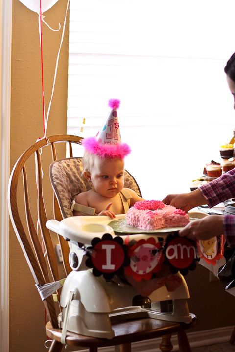  photo LivisFirstBday-6_zps4f5f579c.jpg