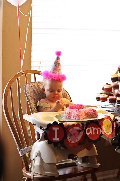  photo LivisFirstBday-8_zpsb4ee2948.jpg