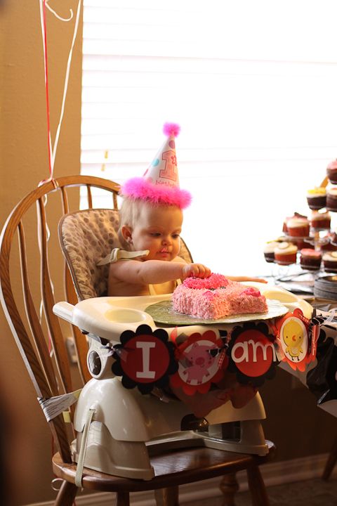  photo LivisFirstBday-9_zps6fb31072.jpg