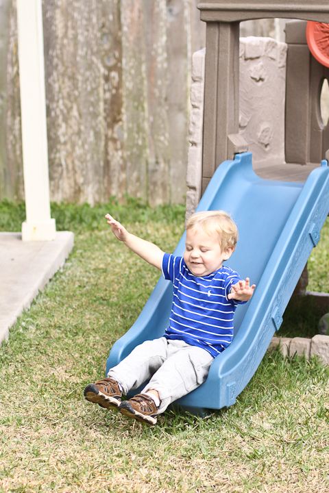  photo Sunday-Backyard-4_zps3ad1bc30.jpg