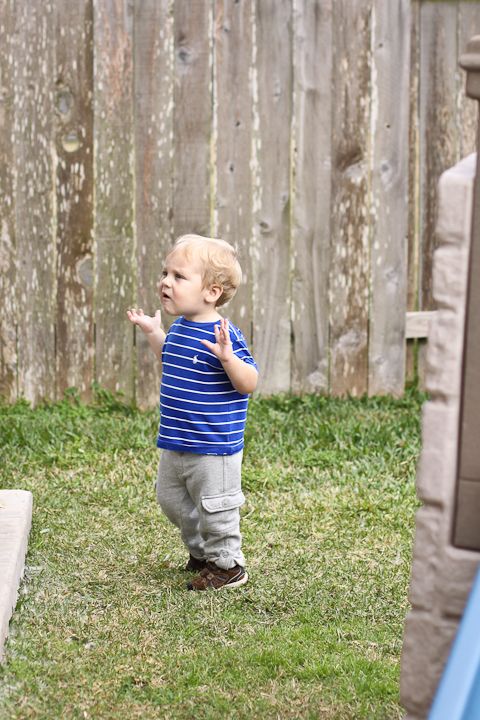  photo Sunday-Backyard-5_zps935005d1.jpg