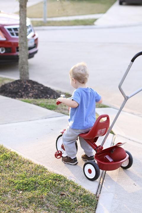  photo Visitorsandahaircut-8_zps89181bb8.jpg