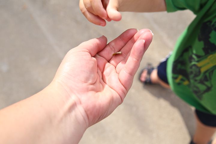  photo Playingingarageandfrontyard-16_zps3a66fe66.jpg