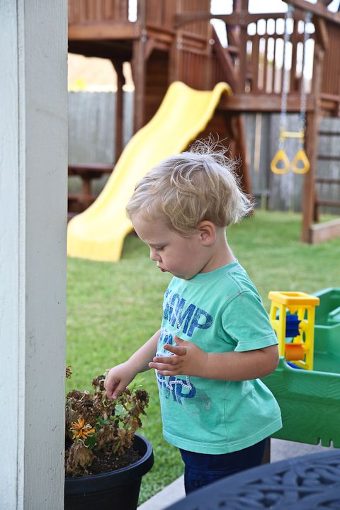  photo Popsiclesandeatingdinnerinbackyard-39_zpsd1a488c0.jpg