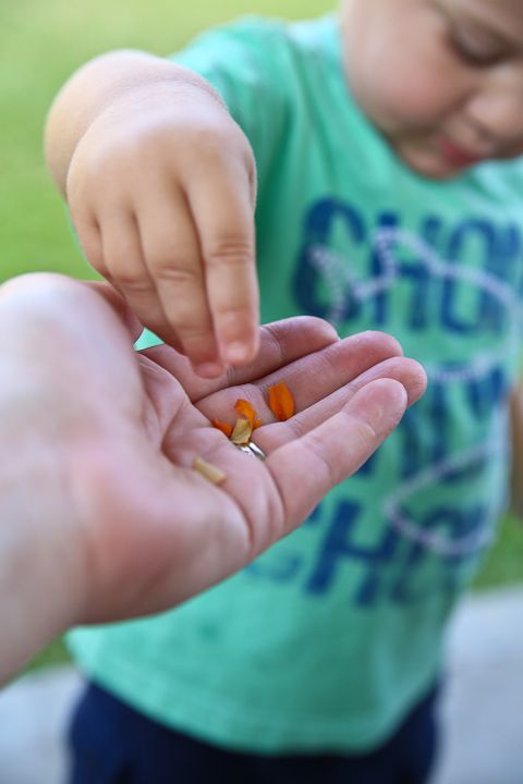  photo Popsiclesandeatingdinnerinbackyard-41_zps31d59275.jpg