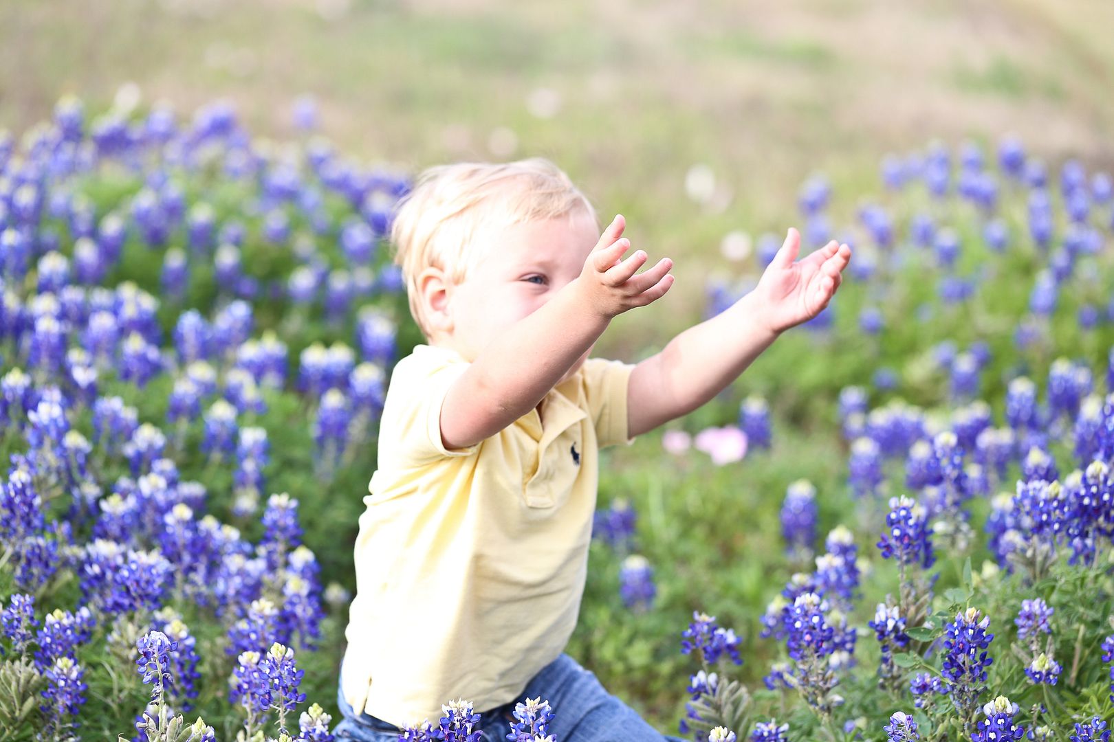  photo BluebonnetOuttakes-2_zps7802991c.jpg
