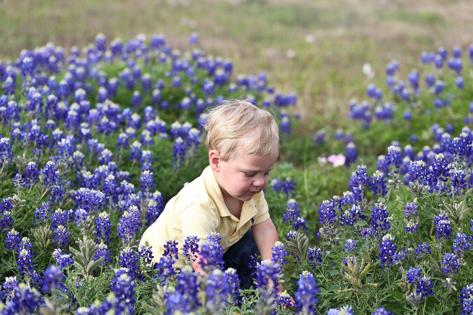  photo BluebonnetOuttakes-3_zpscae7a303.jpg