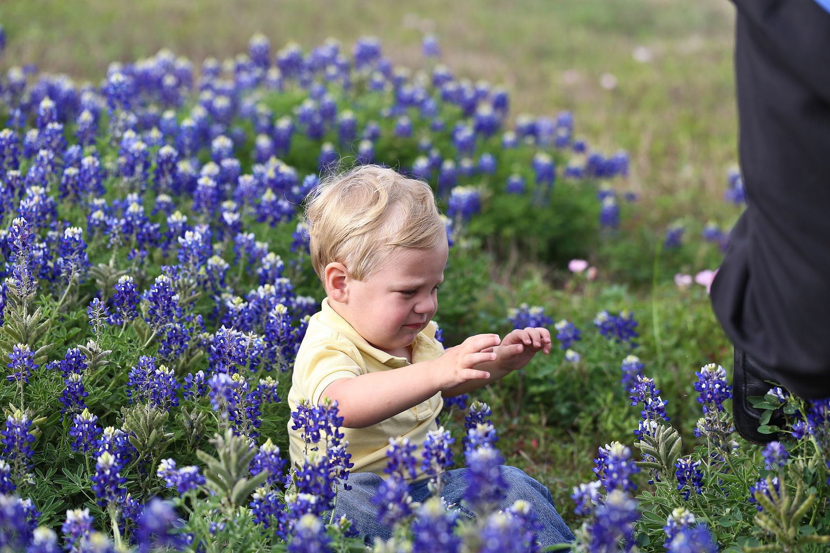 photo BluebonnetOuttakes-5_zps42dbb592.jpg