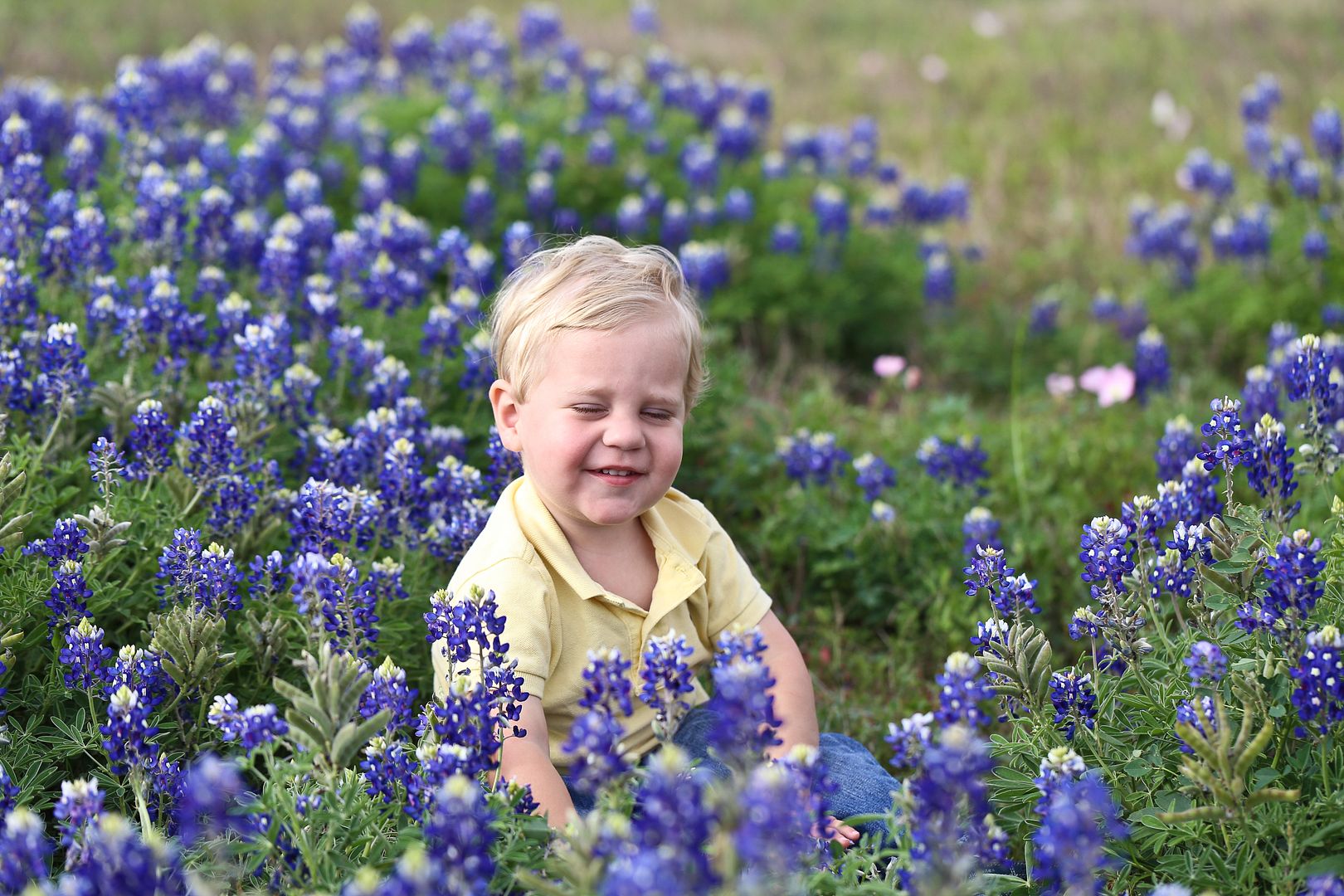  photo BluebonnetOuttakes-6_zps30ee1be3.jpg