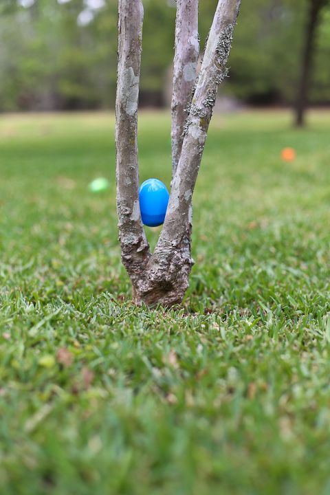  photo Easter-23_zps831555e4.jpg