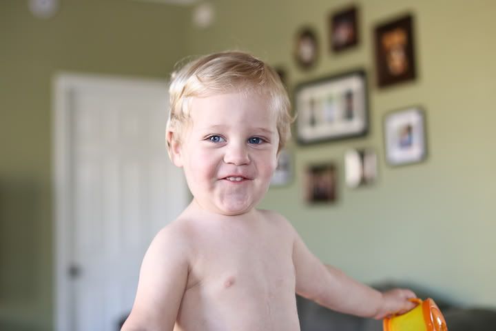 IMG_0342 photo IMG_0342_zpsf09854fc.jpg