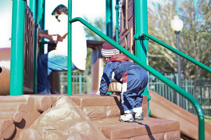 IMG_0352 photo IMG_0352_zpsa79f8e78.jpg