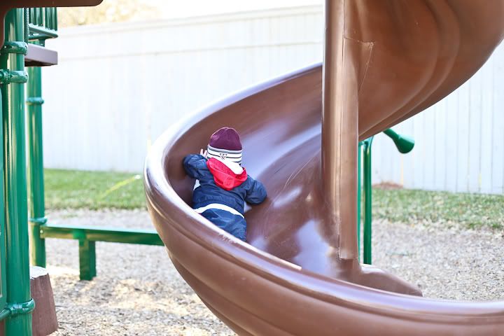 IMG_0377 photo IMG_0377_zpsadcd02d6.jpg