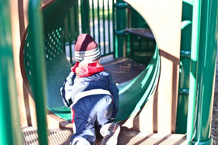 IMG_0380 photo IMG_0380_zps34f0a573.jpg