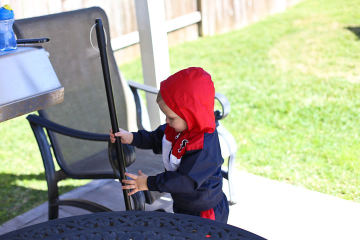 IMG_0517 photo IMG_0517_zpse55112d2.jpg