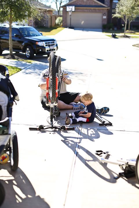 IMG_0532 photo IMG_0532_zps376722aa.jpg