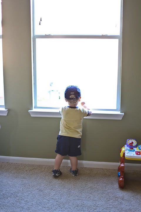 IMG_0544 photo IMG_0544_zps5cb1e75e.jpg