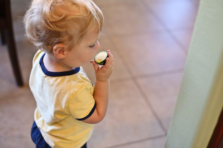 IMG_0582 photo IMG_0582_zps754b701e.jpg