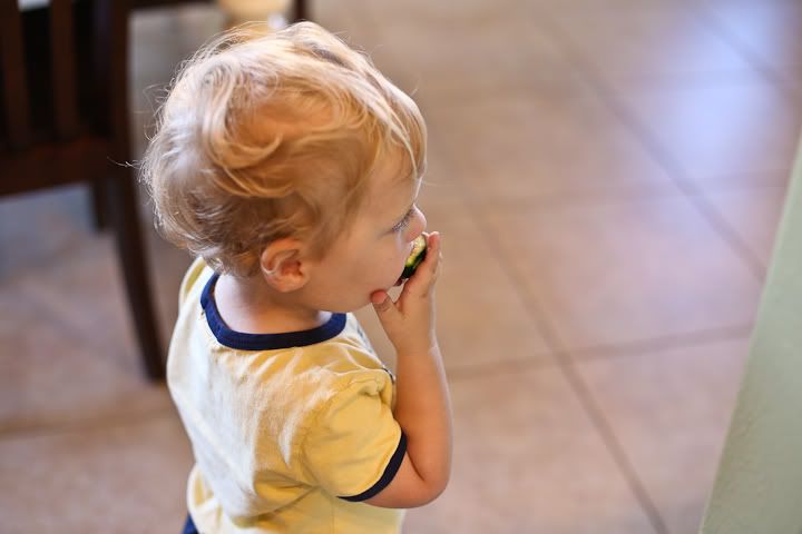 IMG_0583 photo IMG_0583_zps0eb8f514.jpg