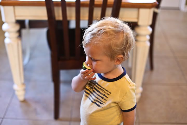 IMG_0587 photo IMG_0587_zps212a8451.jpg