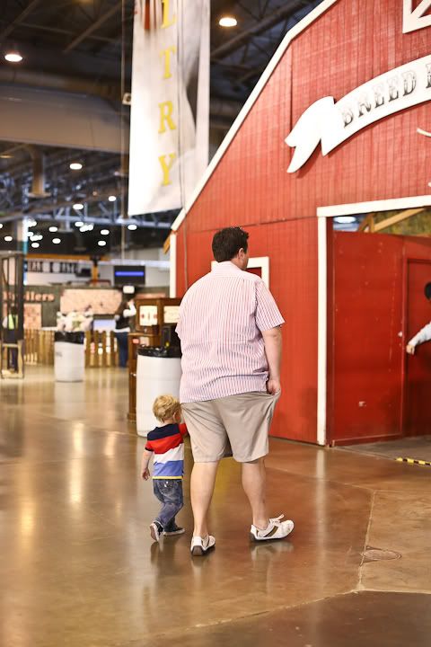 IMG_0669 photo IMG_0669_zps65be7a51.jpg