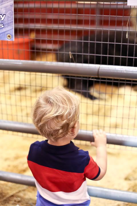 IMG_0674 photo IMG_0674_zps89b656e1.jpg