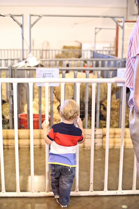 IMG_0688 photo IMG_0688_zps883ef6d4.jpg