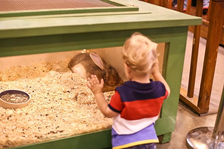 IMG_0695 photo IMG_0695_zps1602cf52.jpg