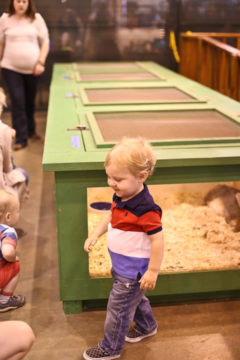 IMG_0702 photo IMG_0702_zps9a53530c.jpg