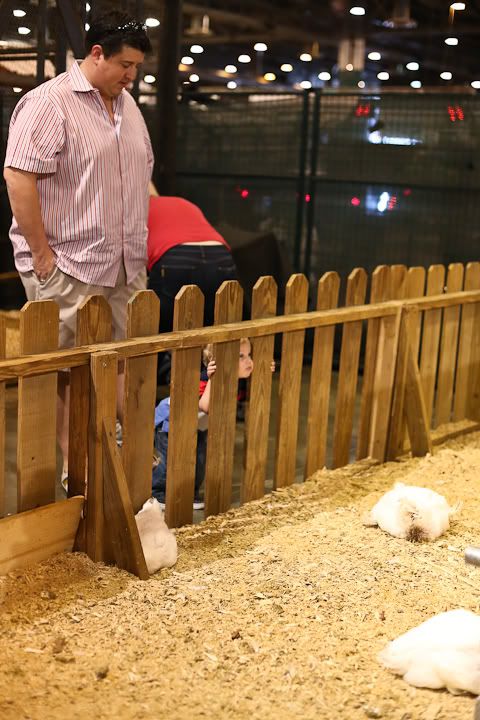 IMG_0707 photo IMG_0707_zps11af4afc.jpg