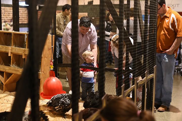 IMG_0709 photo IMG_0709_zpsc9511185.jpg