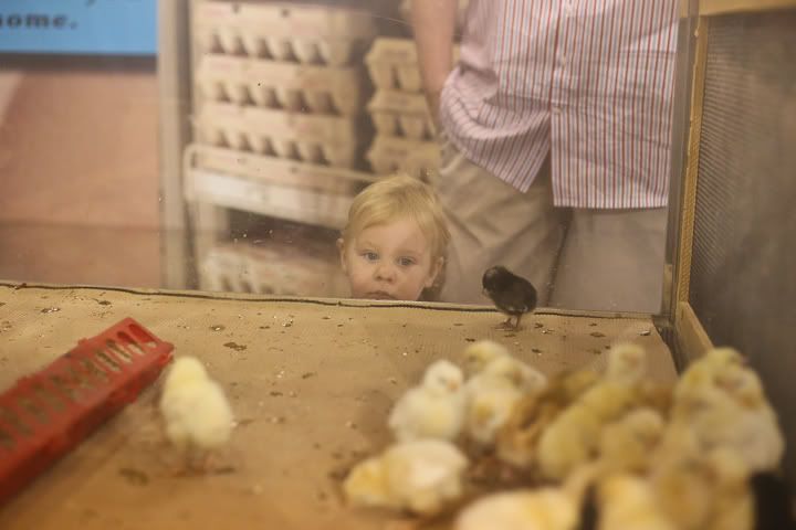 IMG_0712 photo IMG_0712_zps1e492de5.jpg