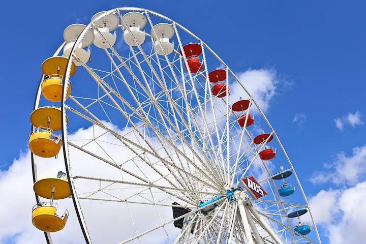 IMG_0729 photo IMG_0729_zps398b4f44.jpg