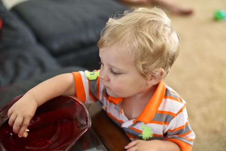 IMG_0764 photo IMG_0764_zps7da75fe6.jpg